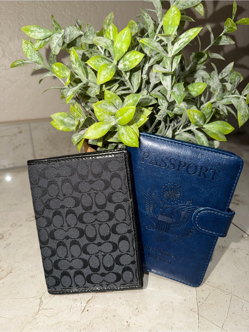 Coach Black Canvas Signature Passport Wallet & Blue Passport Holder Set